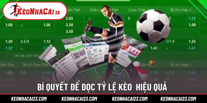 Bí quyết giúp bạn thực hiện đọc kèo chuẩn xác