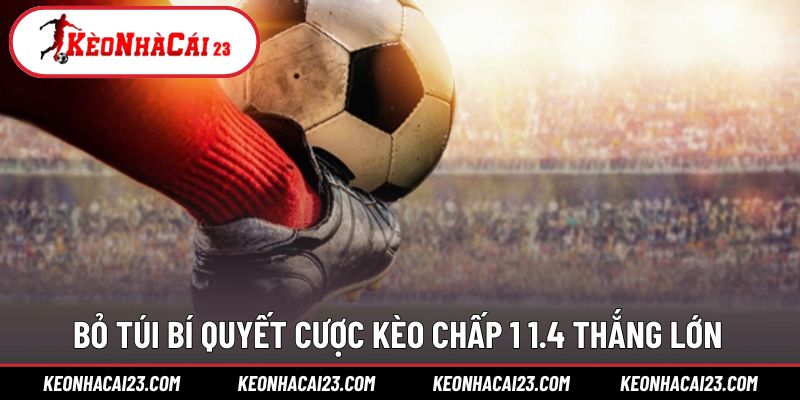 Bật mí bí quyết giúp quyết định xuống tiền hiệu quả