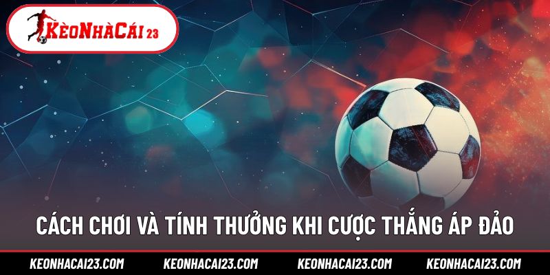 Cách đọc bảng cược và tính tiền thắng chính xác