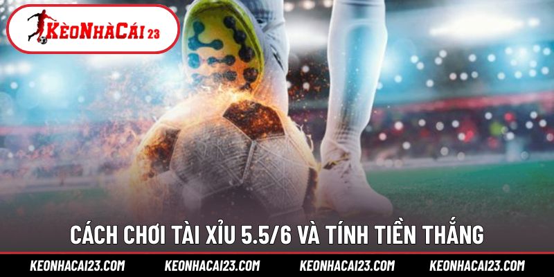 Cách đọc kèo và tính tiền chính xác với tỷ lệ cao