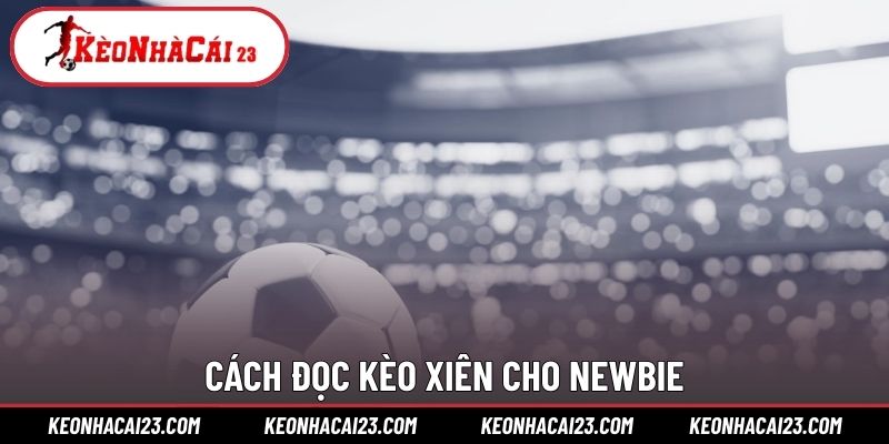 Tip đọc kèo xiên giúp tăng tỷ lệ thắng