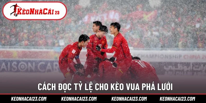 Cách đọc tỷ lệ cho kèo Vua phá lưới