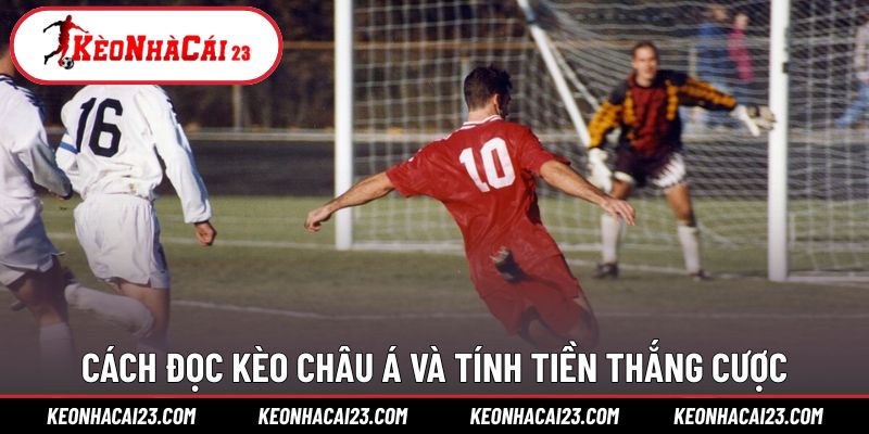 Cách đọc tỷ lệ và tính tiền chính xác từng trường hợp