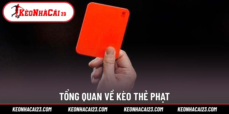 Dự đoán số lượng thẻ để thu lời từ trận đấu