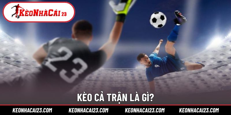 Dự đoán theo toàn thời gian giúp tăng độ chính xác