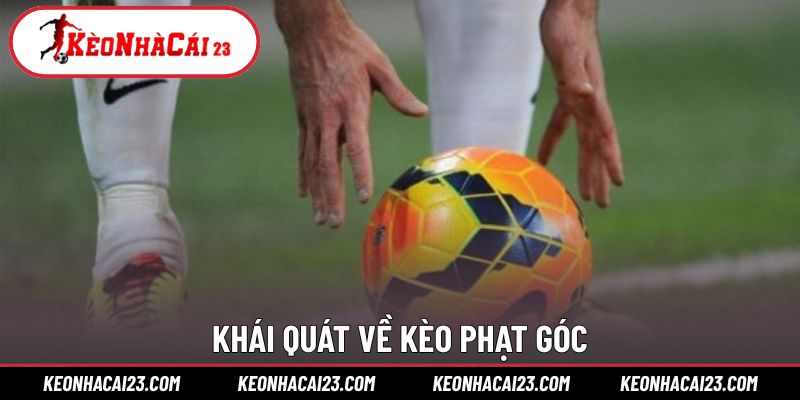 Hình thức kèo phụ mang tính thống kê cao