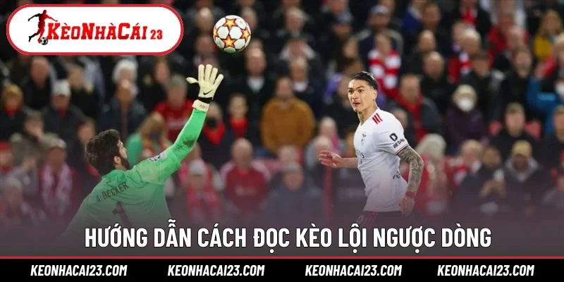 Hướng dẫn cách đọc kèo lội ngược dòng Hướng dẫn cách đọc kèo lội ngược dòng