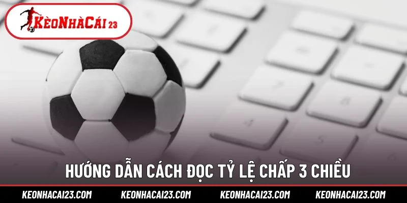 Hướng dẫn cách đọc tỷ lệ chấp 3 chiều