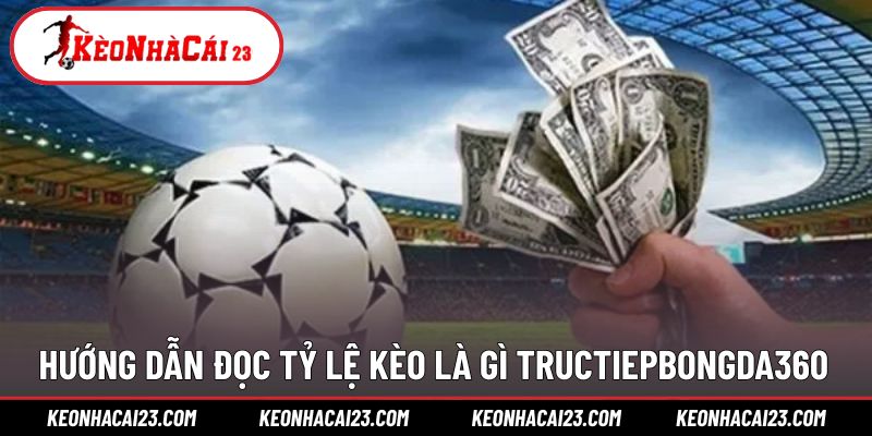 Hướng dẫn để người chơi đọc tỷ lệ kèo là gì Tructiepbongda360