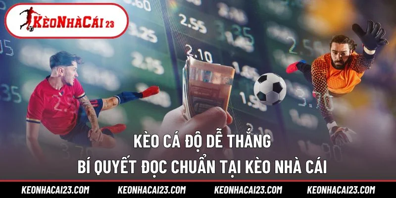 Kèo Cá Độ Dễ Thắng