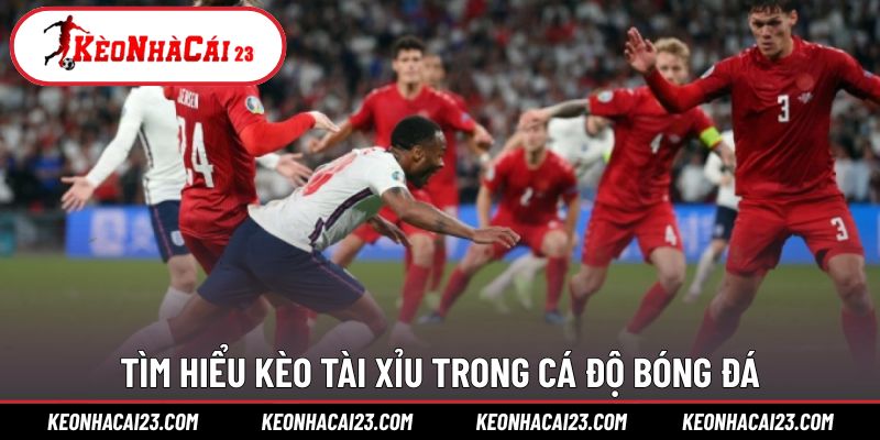 Khái quát cách thức vận hành của tài xỉu bóng đá