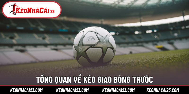 Khái quát hình thức dự đoán đội giao bóng trước trận