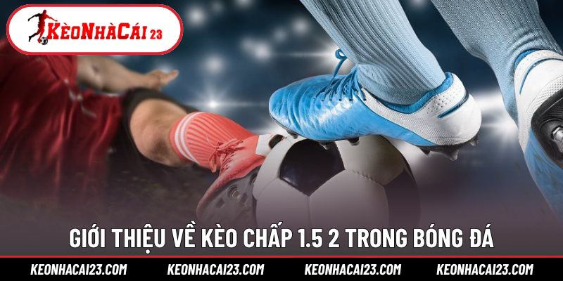 Khám phá kèo 1.5 2 là gì trong cá độ bóng đá