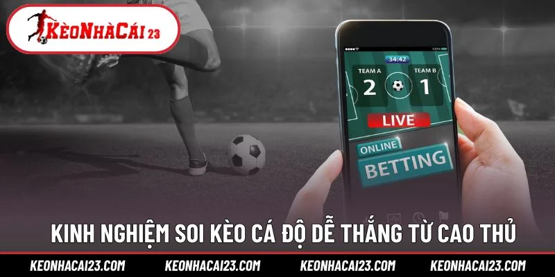 Kinh nghiệm soi kèo cá độ dễ thắng từ cao thủ Kinh nghiệm soi kèo cá độ dễ thắng từ cao thủ