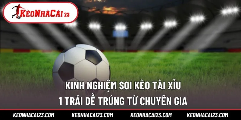 Kinh nghiệm soi kèo tài xỉu 1 trái dễ trúng từ chuyên gia
