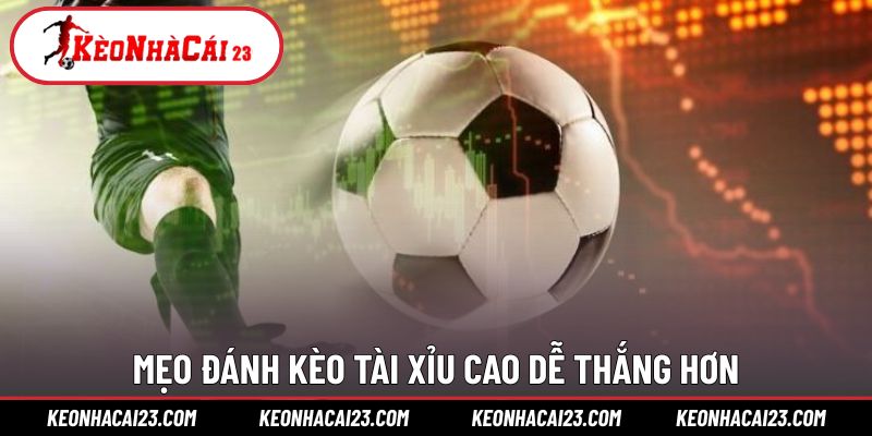 Mẹo xử lý tỷ lệ tài xỉu cao hiệu quả hơn