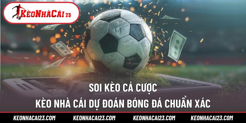 Soi Kèo Cá Cược
