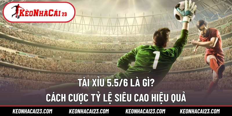 Tài xỉu 5.5/6 là gì