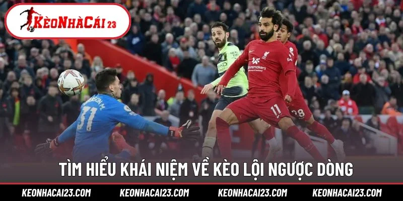 Tìm hiểu khái niệm về kèo lội ngược dòng Tìm hiểu khái niệm về kèo lội ngược dòng