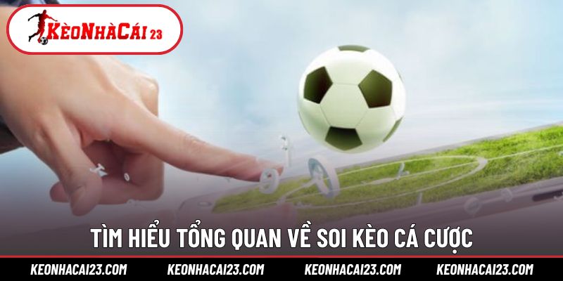 Tìm hiểu tổng quan về soi kèo cá cược