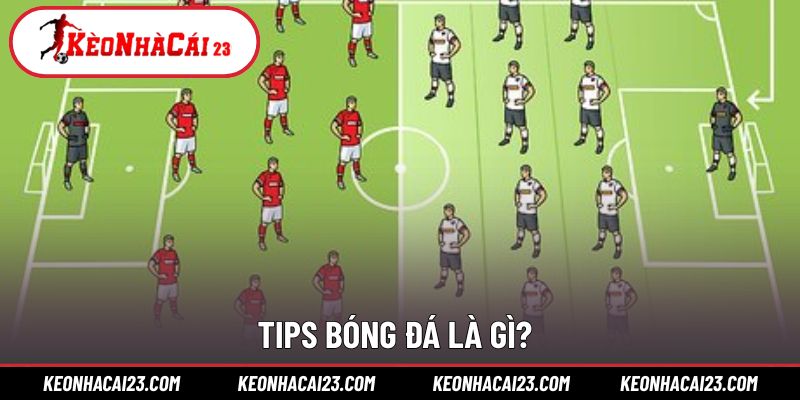 Giải thích cơ bản khái niệm liên quan Tips bóng đá