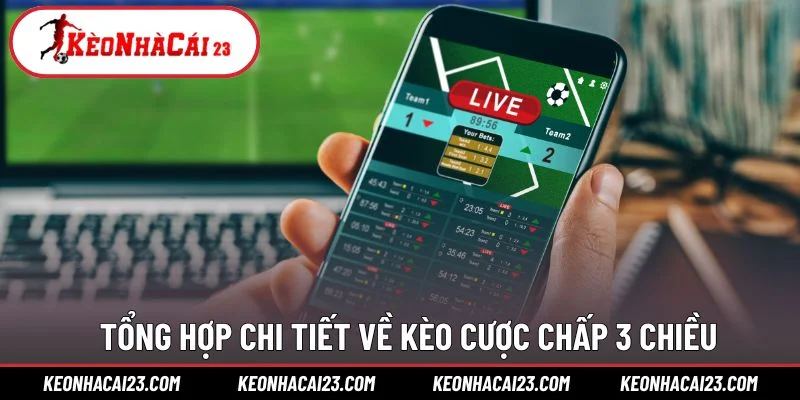 Tổng hợp chi tiết về kèo cược chấp 3 chiều