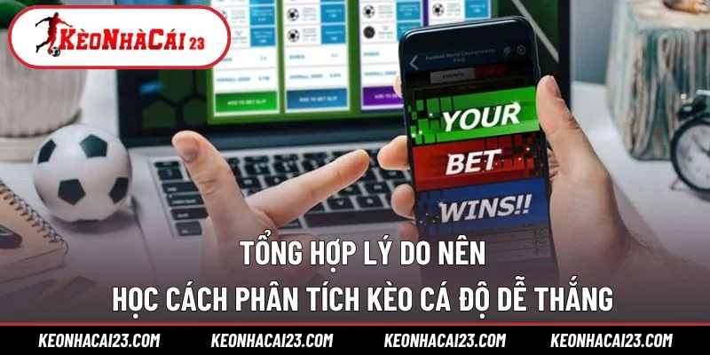 Tổng hợp lý do nên học cách phân tích kèo cá độ dễ thắng Tổng hợp lý do nên học cách phân tích kèo cá độ dễ thắng
