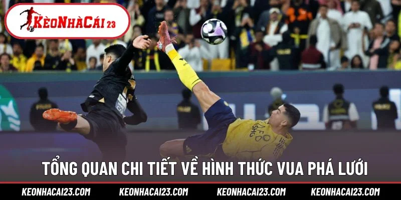 Tổng quan chi tiết về hình thức Vua phá lưới
