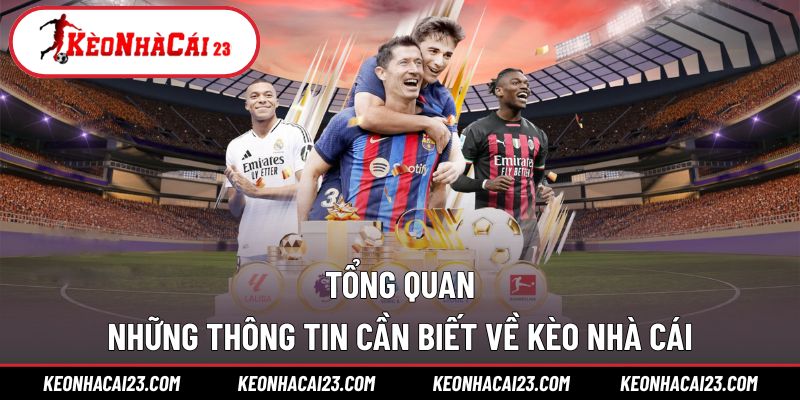 Tổng quan về kèo nhà cái cho tân binh Tổng quan về kèo nhà cái cho tân binh