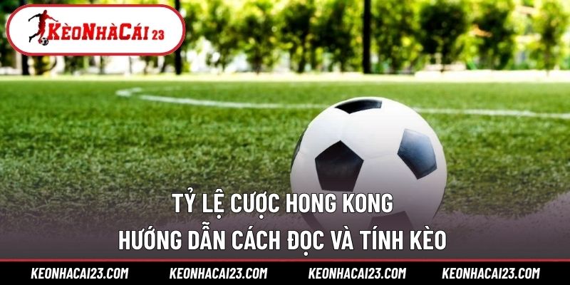 Tỷ lệ cược Hong Kong là sao? Tỷ lệ cược Hong Kong là sao?