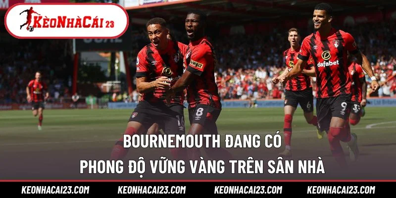 Bournemouth đang có phong độ vững vàng trên sân nhà