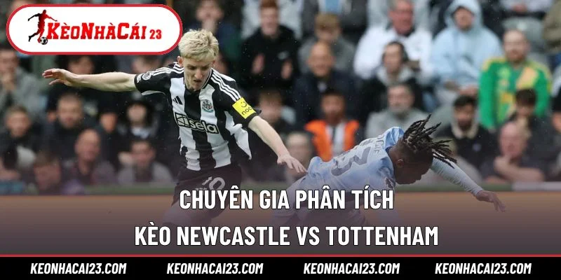 Chuyên gia phân tích kèo Newcastle vs Tottenham