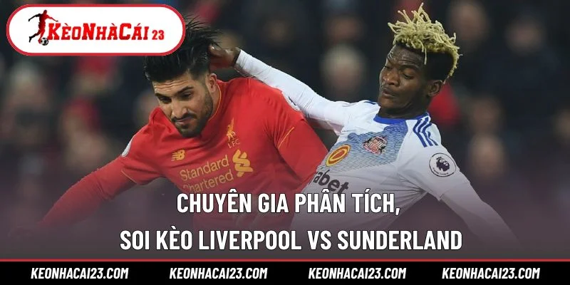 Chuyên gia phân tích, soi kèo Liverpool vs Sunderland