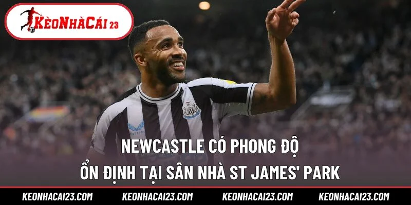Newcastle có phong độ ổn định tại sân nhà St James' Park